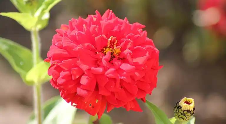 Apartment in Baltic Sea Germany