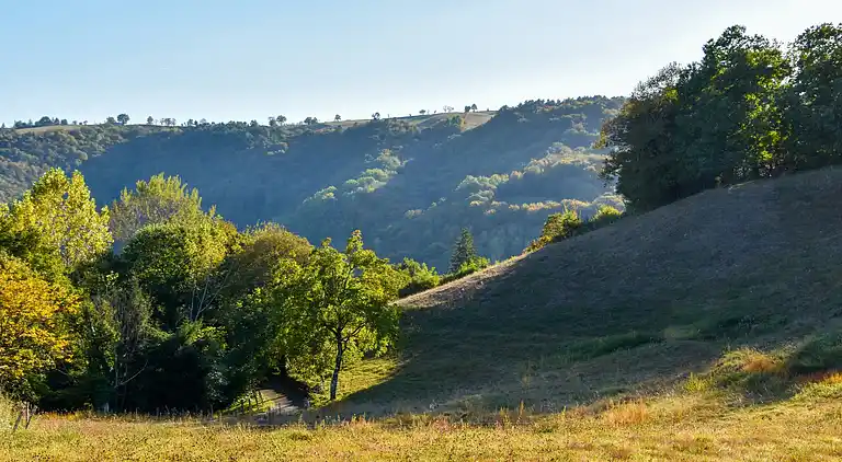 Vakantiehuis in Mourjou