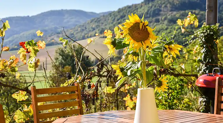 Sommerhus i Villeneuve-d'Allier