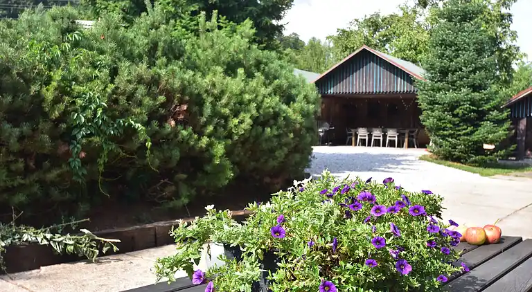 Sommerhus i Levínská Olešnice