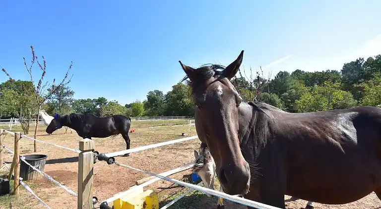 Holiday home in Beaumont-du-Périgord