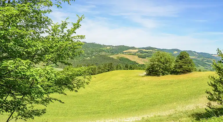 Holiday home in Marradi