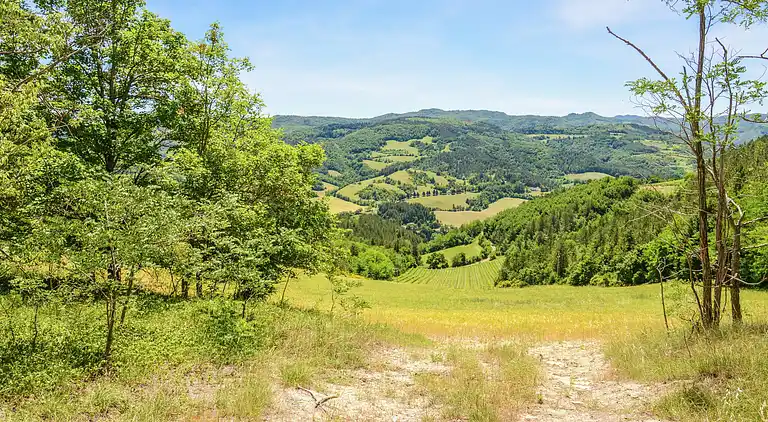 Holiday home in Marradi