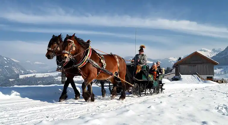 Sommerhus i Mühlbach am Hochkönig