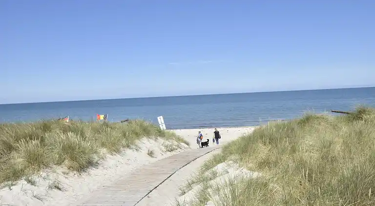 Sommerhus i Ahrenshoop