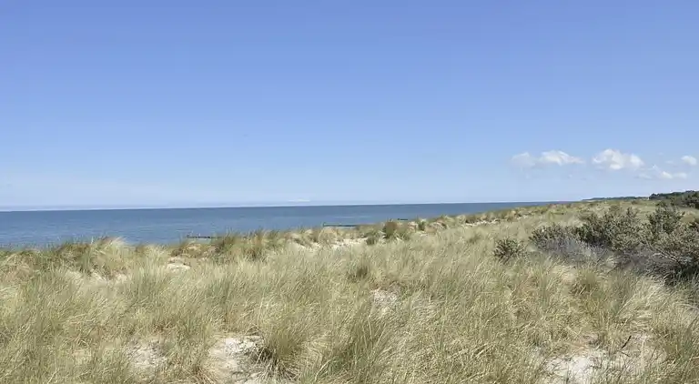 Sommerhus i Ahrenshoop