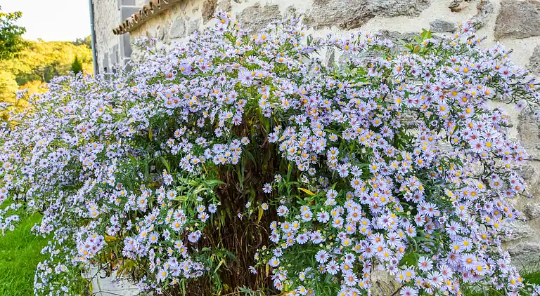 Sommerhus i Sydfrankrig