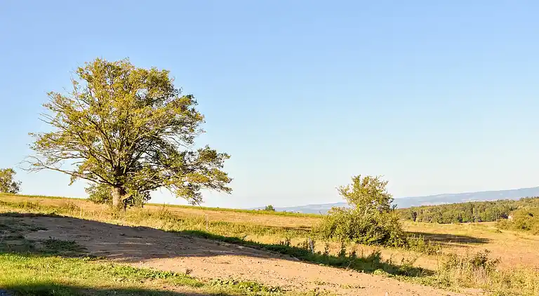 Sommerhus i Sydfrankrig
