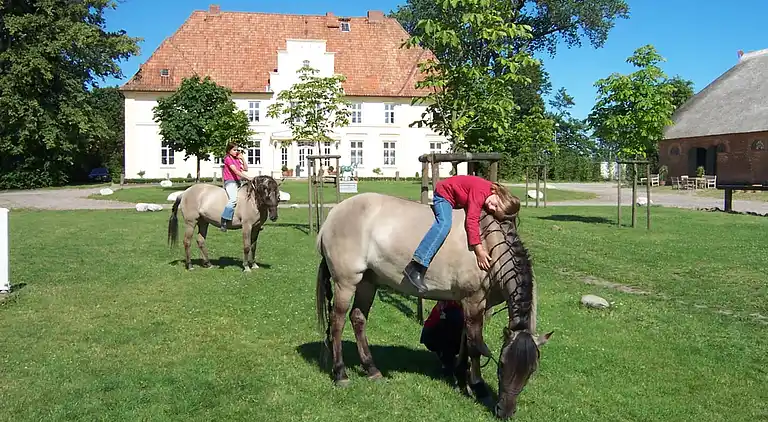 Ferielejlighed i Kröpelin