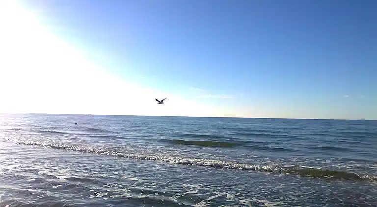 Holiday home in Rerik