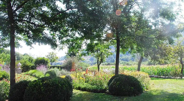 Holiday home in Saint-Sauveur-de-Montagut