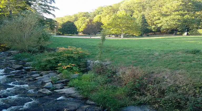 Holiday home in Griesbach-au-Val