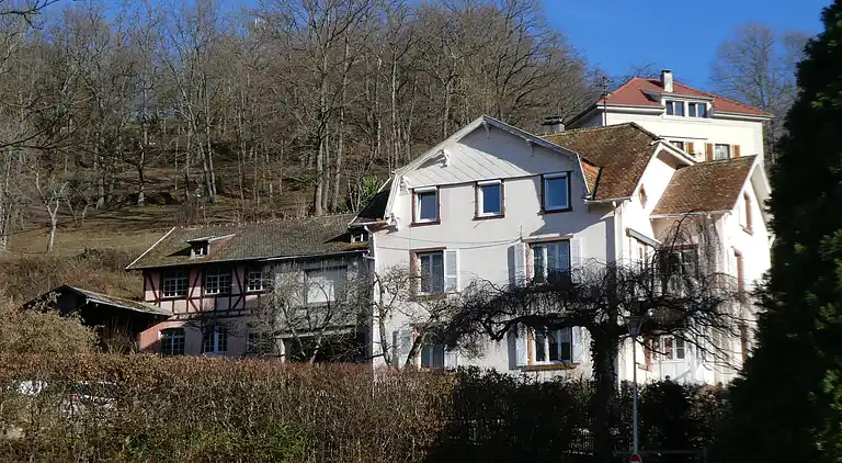 Holiday home in Griesbach-au-Val