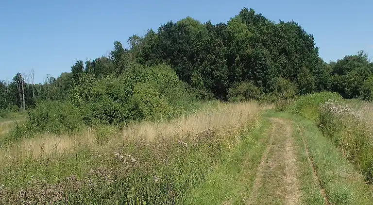 Ferielejlighed i Ritthem