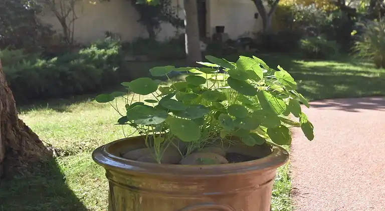 Holiday home in Cournonterral