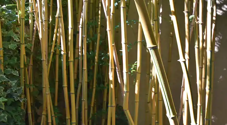 Holiday home in Cournonterral