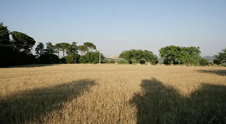 Holiday home in Morrovalle