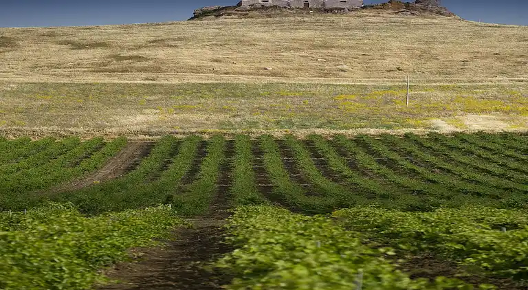 Holiday home in Buseto Palizzolo