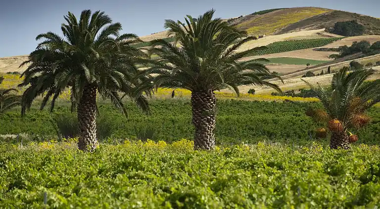 Holiday home in Buseto Palizzolo