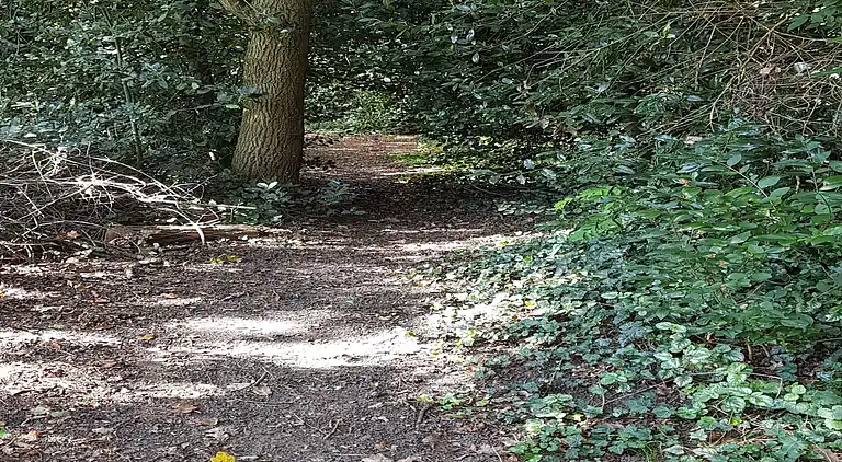 Holiday home in Heiloo