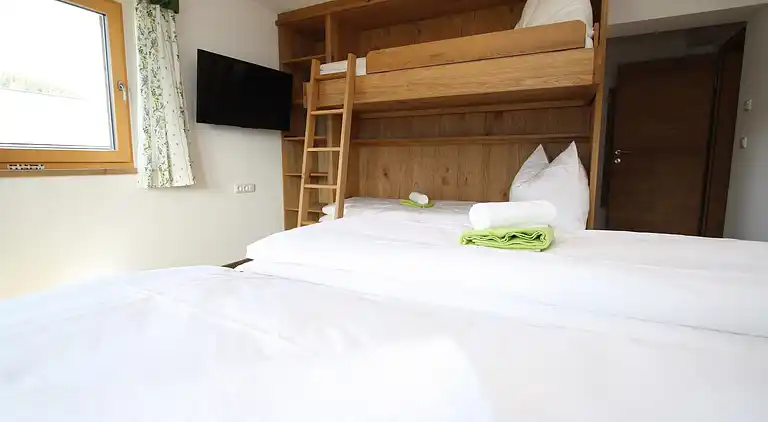 Apartment in Mittersill