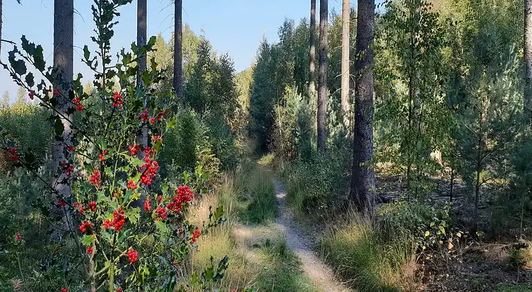 Holiday home in Limbourg