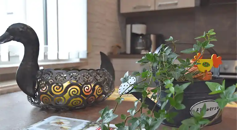 Appartement in Ernstroda