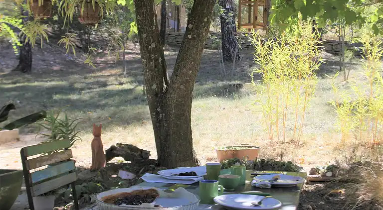 Holiday home in Faucon