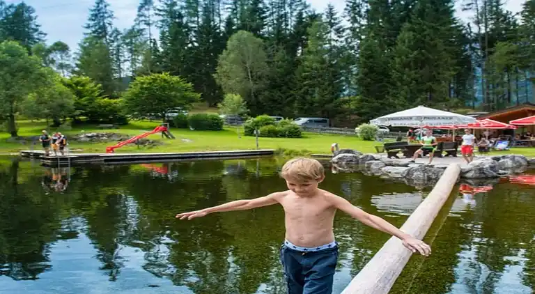 Cottage in Annaberg im Lammertal