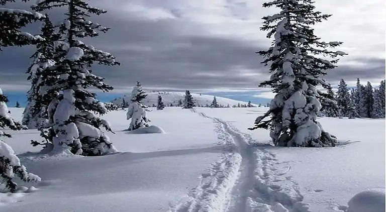 Hytte i Annaberg im Lammertal