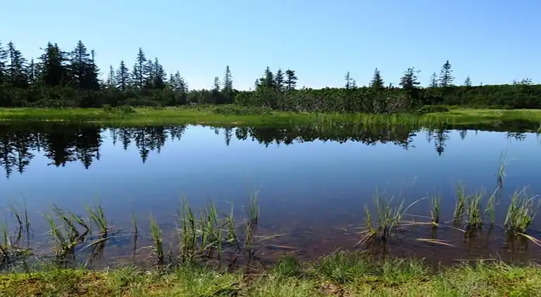 Hytte i Annaberg im Lammertal