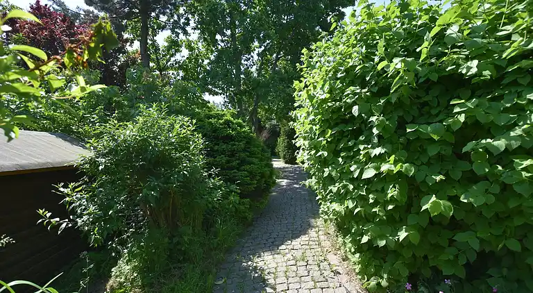 Ferienwohnung in Buschenhagen