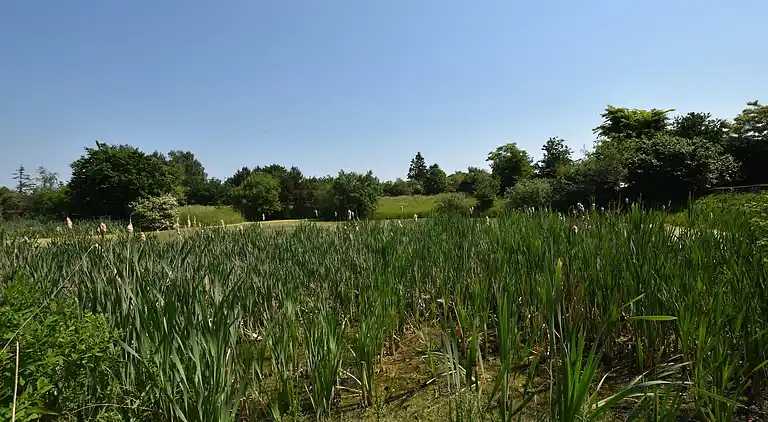 Ferienwohnung in Buschenhagen