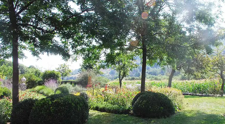 Holiday home in Saint-Sauveur-de-Montagut