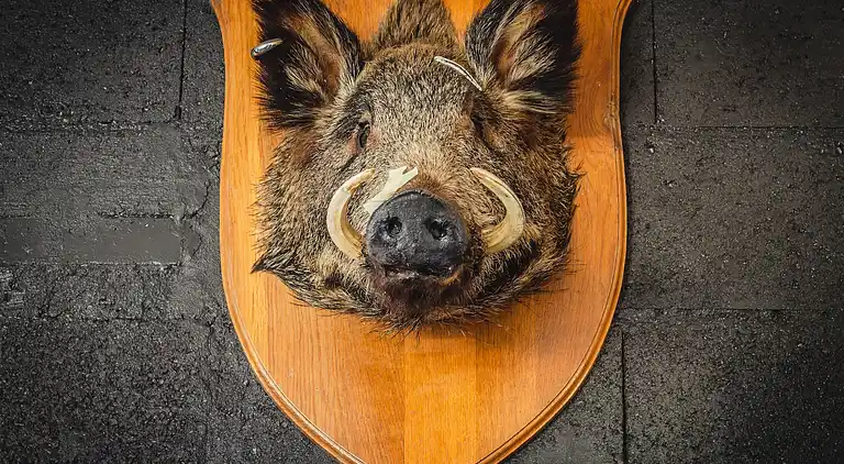 Sommerhus i Abreschviller