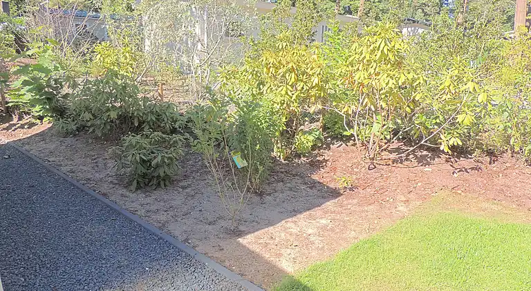 Cottage in Hoenderloo