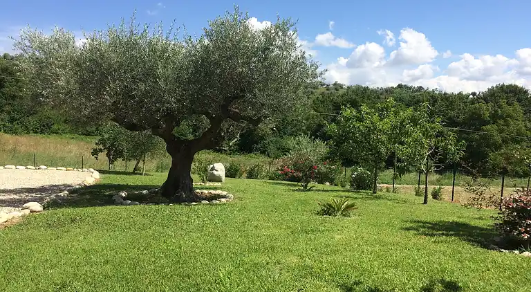 Holiday home in Picciano