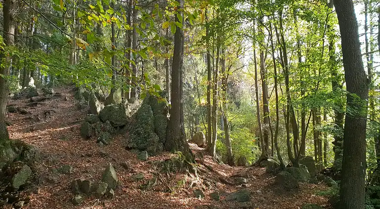 Holiday home in Limbourg