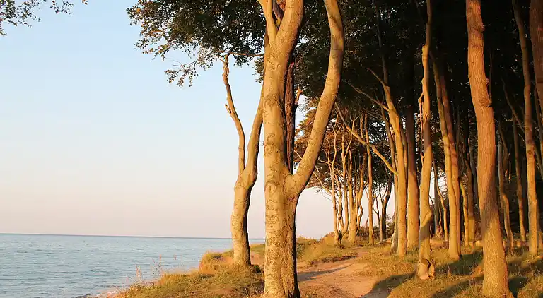 Holiday home in Gerdshagen