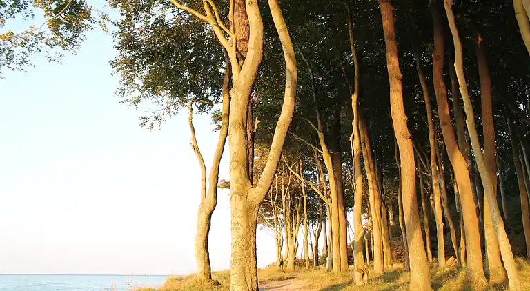 Sommerhus i Börgerende-Rethwisch