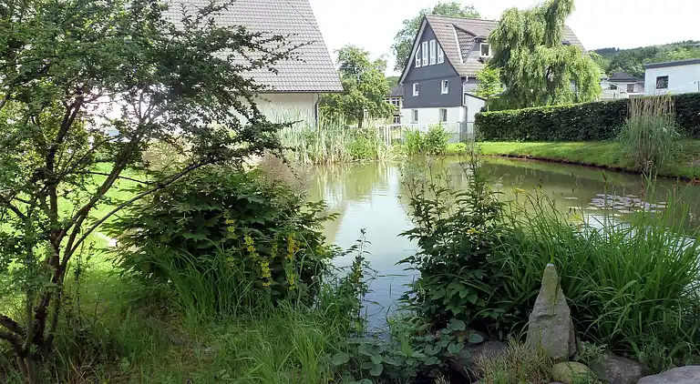 Apartment in Brachthausen