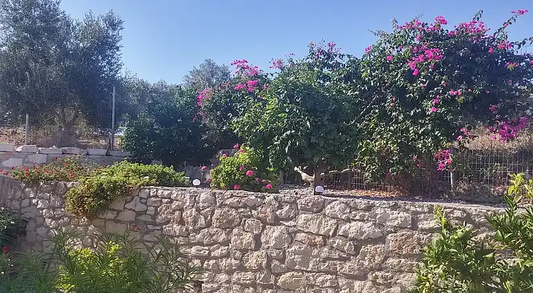 Villa in Τοπική Κοινότητα Μέσης