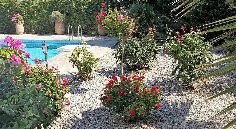 Villa in Τοπική Κοινότητα Μέσης