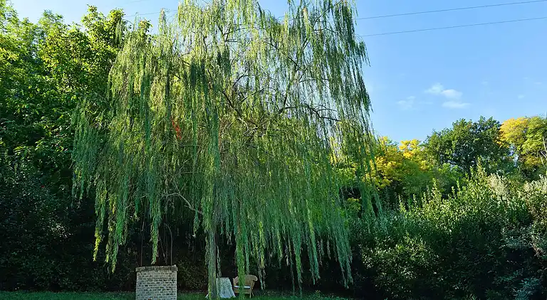 Villa in San Giacomo