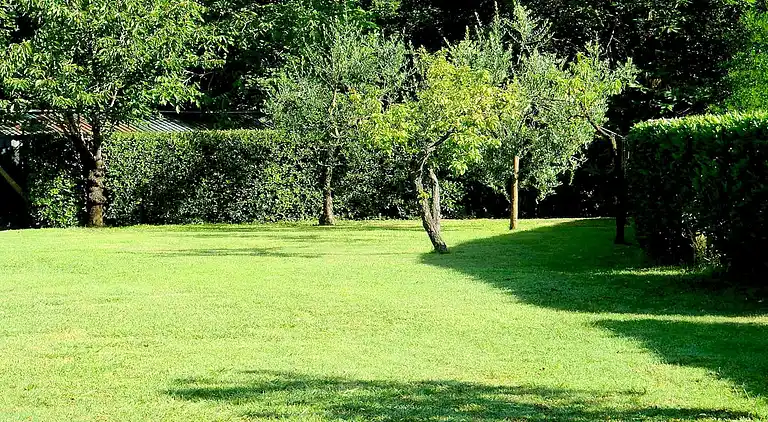 Sommerhus i Camaiore