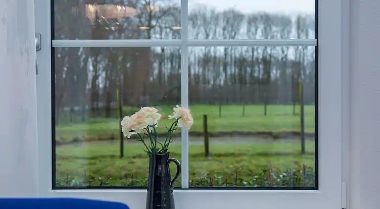 Holiday home in Oostkapelle