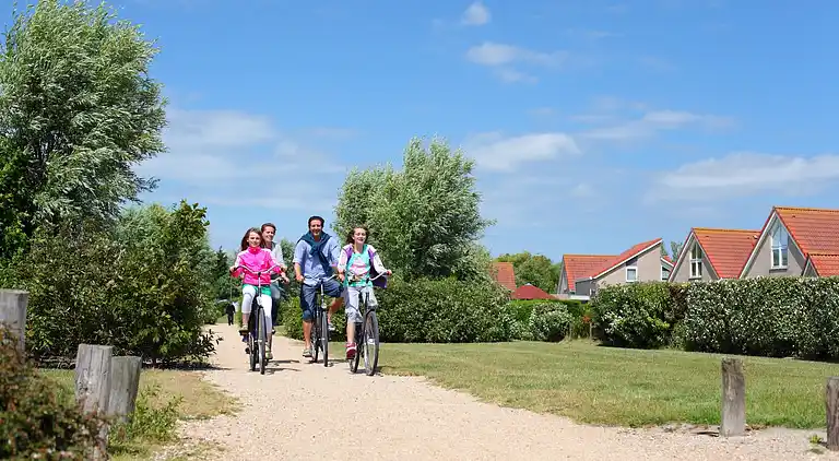 Holiday home in Breskens