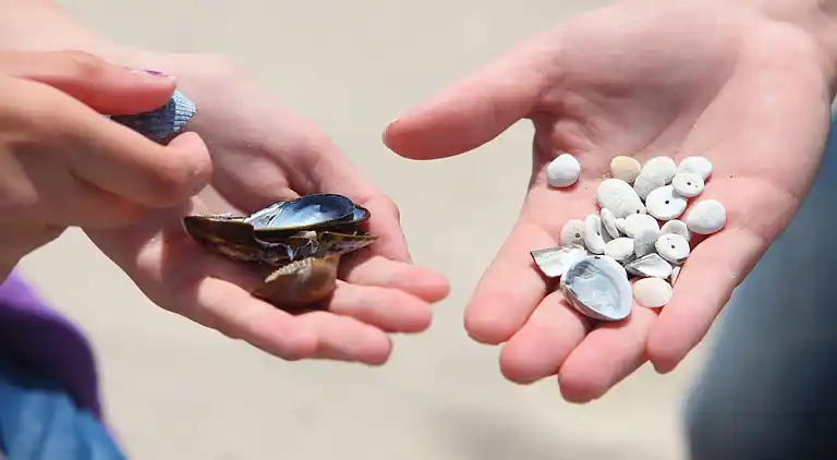 Holiday home in Breskens