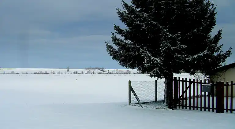 Cottage in Montier-en-Der