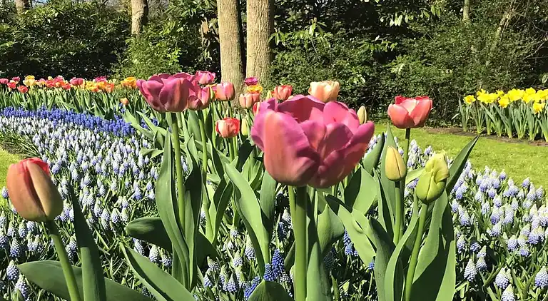 Apartment in Scheveningen
